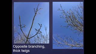 Introduction to EAB 2021