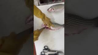 #viral #fish cómo limpiar un pescado en casa