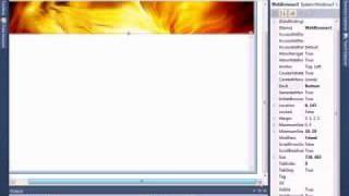 Tutorial 3- Visual basic- Creating a basic web browser