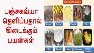 பஞ்சகவ்யா தெளிப்பதால் கிடைக்கும் பயன்கள் | Panjakavya payangal