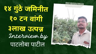 चौदा गुंठ्यांत तीन लाखांची वांगी पिकविणारे उदय कदम यांची पाटलोबा पाटील यांनी घेतलेली मुलाखत