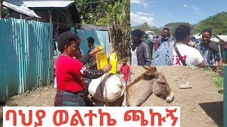 🙋ባህያ ወደወልተኬ የሮመዳን አስቤዛ ተጫነ