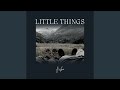 Little Things