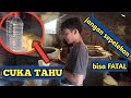 CUKA TAHU TETAP BISA DI GUNAKAN MESKIPUN SUDAH LIBUR DUA HARI~TAHU BALAP