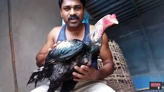 21 நாள் தயார் மாவு/தயார் தீனி காலை உணவு முறை/ready for 21 days food for vethukkaal Aseels