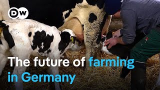 Matrimony or Bust? A glimpse into the life of a German dairy farmer | DW Reporter