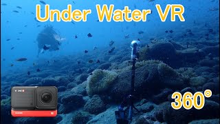 【360° UnderWater-VR】ScubaDiving in Osezaki【Insta360 ONE R】【4K】