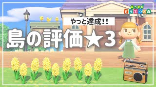 【あつ森】最終回！とたけけさんを呼ぶために島の評判を★３まで上げよう！【あつまれどうぶつの森｜女性実況】