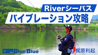 リバーシーバスを攻略!!ただ巻きだけじゃ無いバイブレーションの使い方！by梶原利起