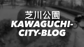 【1分でわかる】川口市 芝川公園の紹介