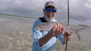 Fly Fishing Turneffe Island Belize