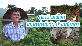 สุชาติ มณีโชติ เกษตรกรดีเด่นป่าขาดโมเดล