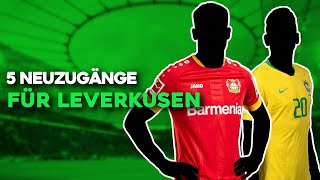 Bayer 04 Leverkusen: 5 Transfers für Leverkusens Champions League-Angriff mit Seoane!