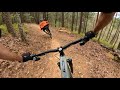 If you've only got a day in Arkansas, this is where to spend it  Mountain Biking Mt. Nebo