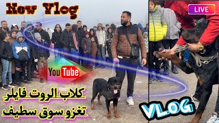 كلاب الروت فايلر تغزو سوق سطيف للكلاب هذا الأسبوع ا جديد سوق سطيف للكلاب 2023🐕🐕🇩🇿🇩🇿