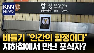 합정역 출구에 '독수리' 사진 붙었다…이유는? / KNN