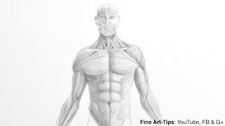 How to Draw a Male Torso - Anatomy Drawing