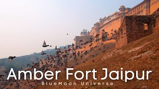 Amber fort in Jaipur Tour in 4K  BlueMoon Universe