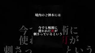 丑の刻参り発祥の貴船神社で呪術の痕跡を目撃！実際のやり方とは？#shorts #怖い話 #怪談