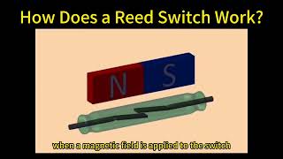 How Does A Reed Switch Work?