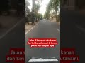 Jalan di kampung aku penuh dengan pokok