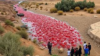 199 Strange Things Happening Right Now Around the World | One In a Billion Moments In Nature