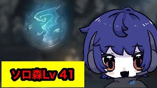 【魔法の覚醒】ソロ森Lv４１【魔法書Lv92】