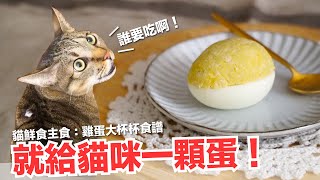 直接給貓咪一顆蛋！短褲暴怒！【貓主食食譜】好味貓鮮食廚房EP174