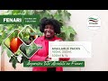 ✓FENARI is an insecticide for control of Tuta Absoluta and Leaf miners in Tomatoes. #kilimoNakenagro