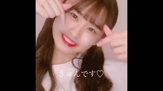 tiktok「ポケットからキュンです！」@ひらめ🐠　※ look at the summary column.