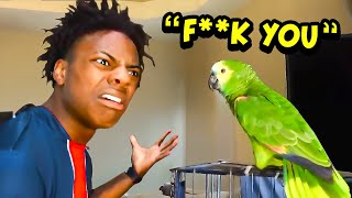 iShowSpeed Buys A Pet PARROT.. (bad idea)