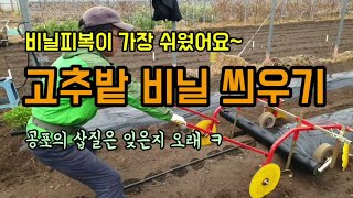 고추농사 고추밭 비닐피복작업 무동력비닐피복기로 쉽게 작업을 마쳤습니다. 비닐피복기 사용방법 및 요령