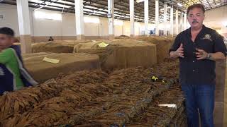 Nick Perdomo Explains the Process of Fermenting Tobacco in a \