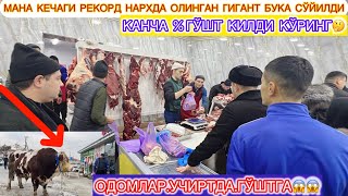 МАНА КЕЧАГИ РЕКОРД НАРХДА ОЛИНГАН 1300.КГ ЛИК ГИГАНТ БУКА  СЎЙИЛДИ КАНЧА %ГЎШТ КИЛДИ!?😱 30-декабря.