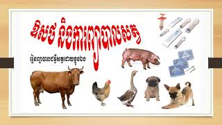 ការបែងចែកក្រុមអង់ទីប្យូទិចសម្រាប់ព្យាបាលជម្ងឺសត្វ