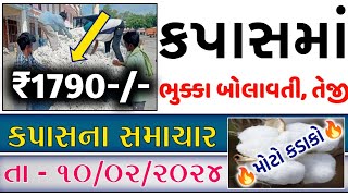 kapas na bhav | 10/02/2025 | કપાસના ભાવ:2025 | information about cotton crop price | commodity trend