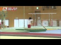 kohei uchimura 2013 hb quadruple double layout dismount