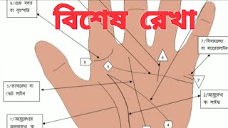 হস্তরেখা বিচার | হাতের রেখা | হাতের রেখা দেখে ভাগ্য গণনা | @AAdhyatmikAmit