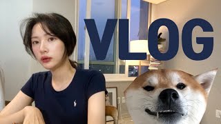 [브이로그-VLOG]가을 일상 브이로그(샐러드…는왜먹죠?/대창닭볶음탕(곱도리탕)/갈쿡/나름 룸투어/씰리 침대/반올림 피자 신전떡볶이/깨알 해장/시바견 택이)