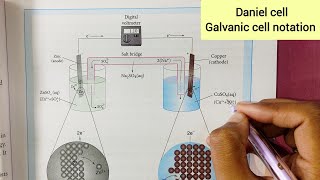 Daniel cell | Galvanic cell notation| Electrochemistry | 12th Chemistry | In Tamil |