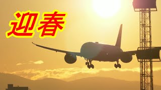 迎春 2024  ANA JAL787-8スペシャル タッチダウン＆テイクオフ！【 伊丹空港32L 】