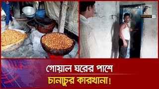 চুয়াডাঙ্গার জীবননগরে গোয়াল ঘরের পাশে চানাচুর কারখানা!! বাথরুমও ভেতরেই! | Maasranga News