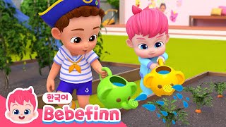 우와! 새싹이 자랐어!🌱 | 86화 | 즐거운 정원 가꾸기 | 씨앗 심기 동요 | 베베핀 Bebefinn - 키즈 인기 동요