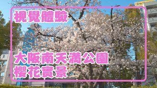 4K 日本視覺體驗 2022 櫻花初開 大阪南天満公園 櫻花實景