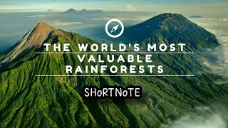 ලොව වටිනාම වැසි වනාන්තර The world's most valuable rainforests #forests #rainforest #forest 🏝️🏞️🌧️🏝️