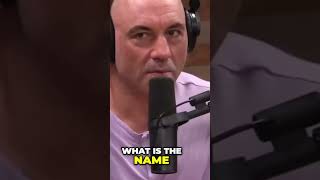 Joe Rogan on the Amazon rainforest tribes