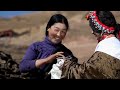 ལྷ་མོ་མཚོ་། བོད་གཞས་   lhamo tso tibetan song