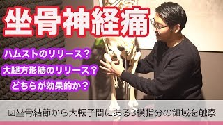 坐骨神経痛施術にハムストと大腿方形筋の微妙な違い