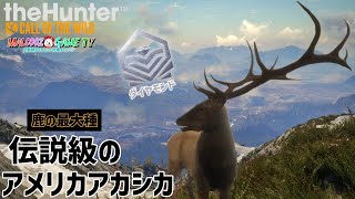 【ザハンターコールオブザワイルド】アメリカで超大型アメリカアカシカを追う！【theHunter: Call of the Wild 】