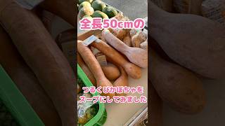 長さ50cmのつるくびかぼちゃを使った濃厚なスープの作り方